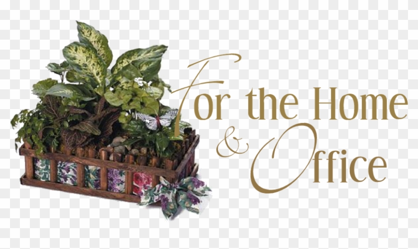 Dish Garden Designs Clipart #5719884