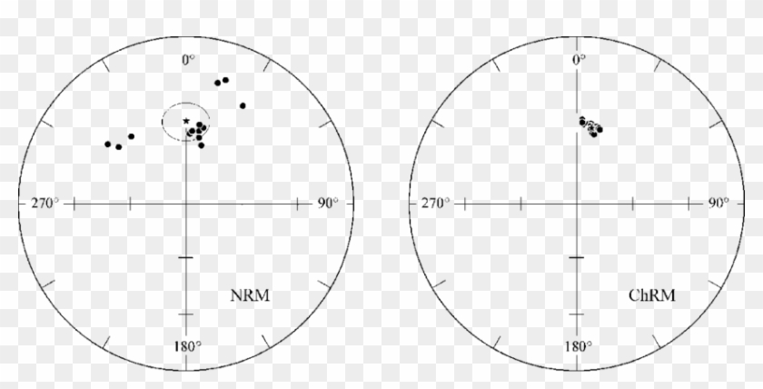 Equal-area Projection Of Nrm And Chrm Directions For - Circle Clipart #5721900