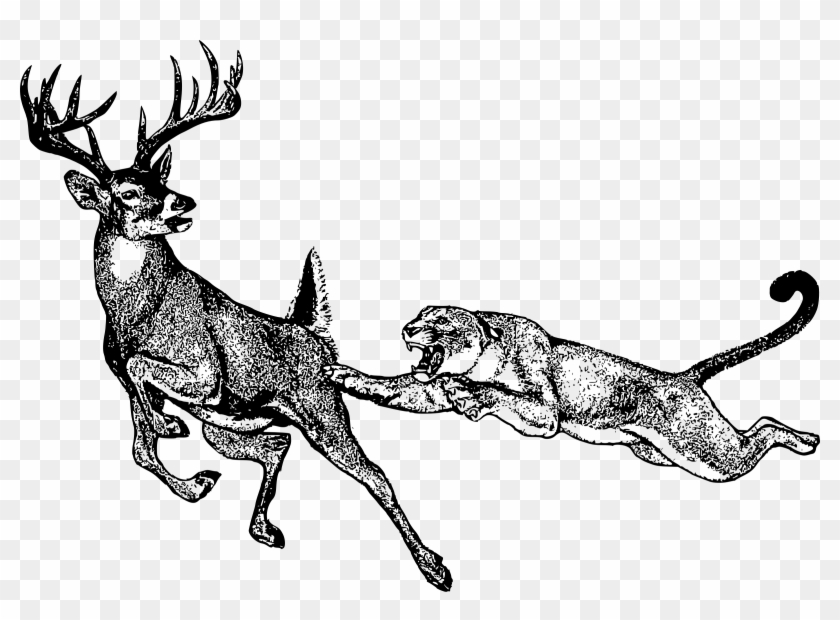 This Free Icons Png Design Of Deer And Mountain Loin - Mountain Lion Clipart Black And White Transparent Png #5723075