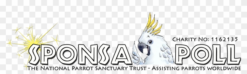 Adopt A Parrot - Sulphur-crested Cockatoo Clipart