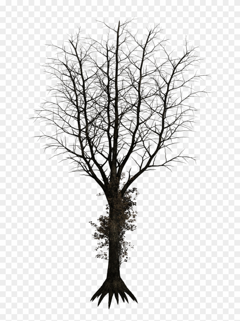 Dark Tree Png - Dark Trees Png Clipart #5723602