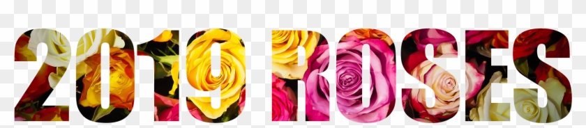 About Face - Garden Roses Clipart