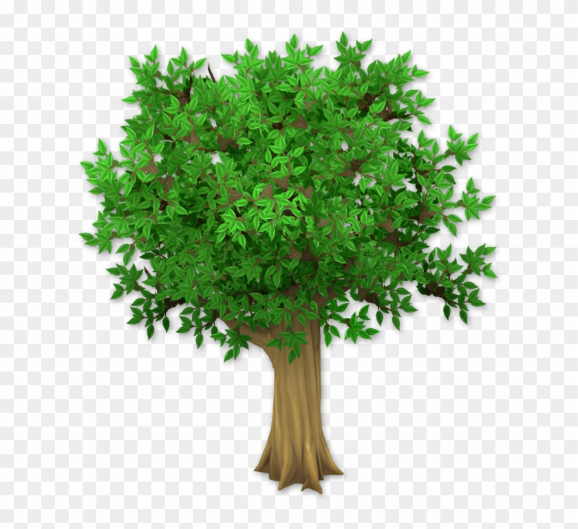 Dark Leafy Tree - Tree Png Clipart #5723737