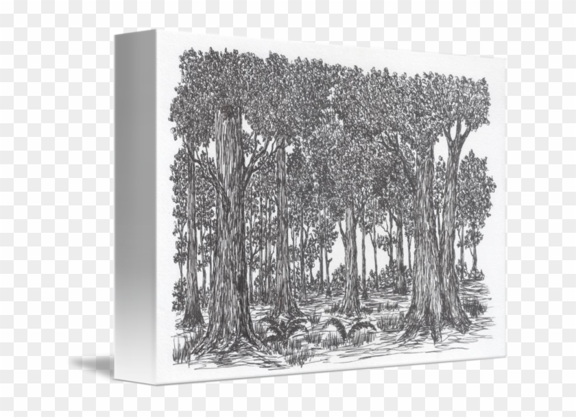Dark Forest By - Grove Clipart #5723774