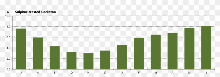 Injured - Plot Clipart