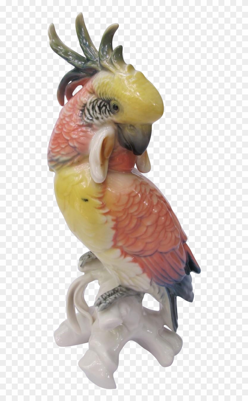 Vintage Ens Germany Cockatoo Figurine Found At Www - Macaw Clipart