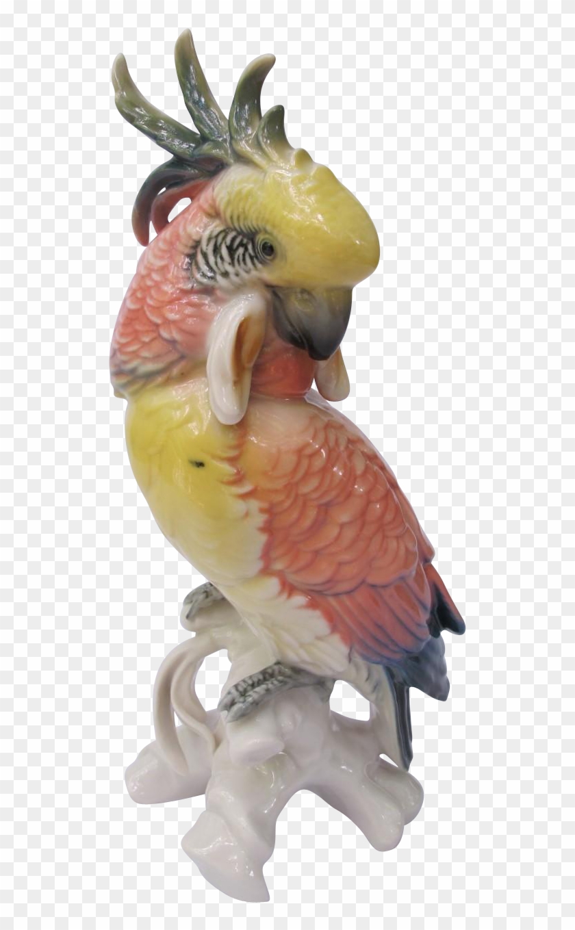 Vintage Ens Germany Cockatoo Figurine Found At Www - Macaw Clipart #5724078