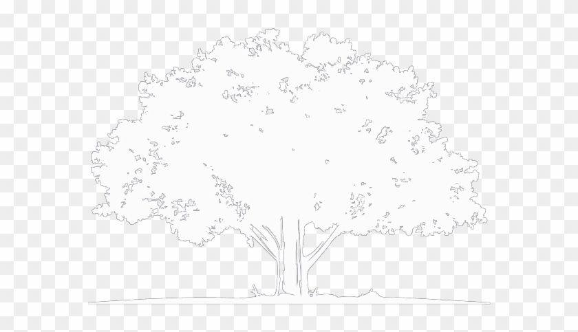 Dark And Moody Skies Fell Upon This Beautifully Intimate - Arbor Day 2018 Clipart #5724263