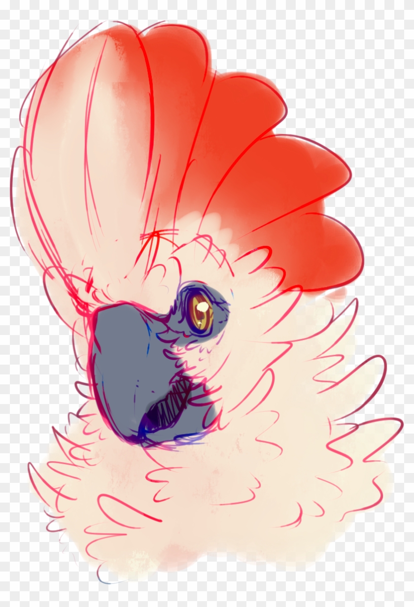 [p] Cockatoo - Illustration Clipart