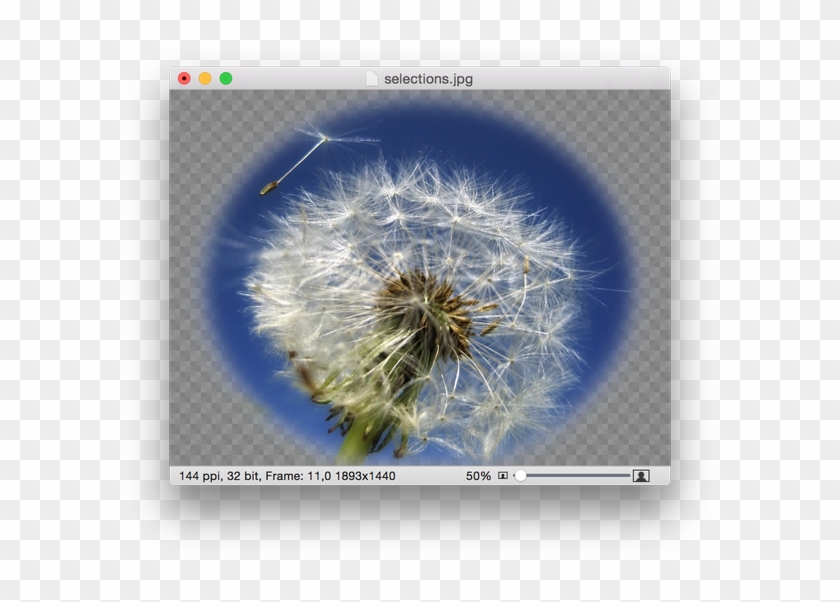 Screen Shot 2015 04 30 At - Löwenzahn Clipart #5725034