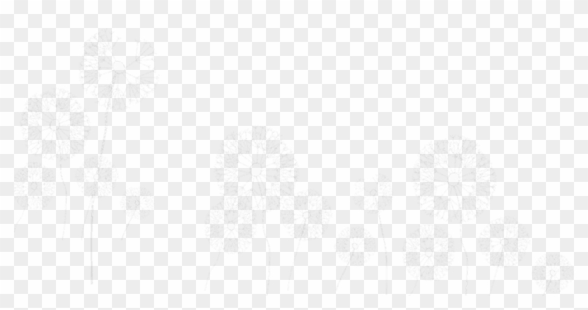 #freetoedit A Group Of #dandelions #png #transparentbackground - Sketch Clipart #5725228