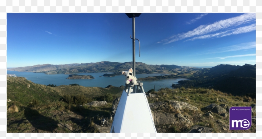 A Fond Farewell To Foggy - Summit Clipart