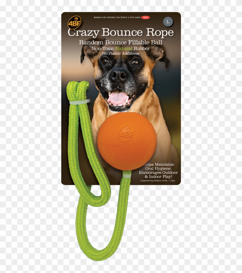 4 Best Friends Natural Rubber Pet Toys - Dog Catches Something Clipart