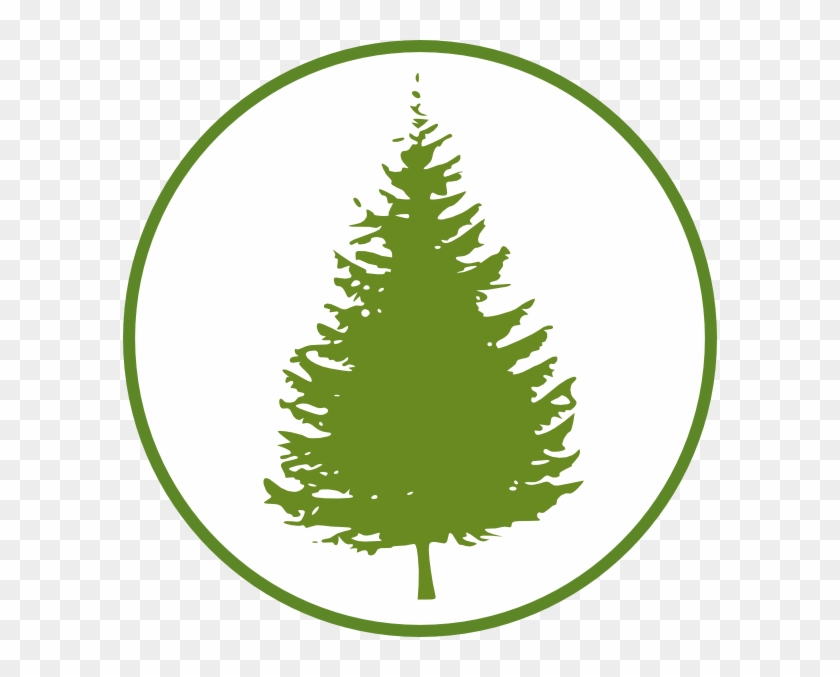 Forest/circle Png - Clipart Pine Trees Black And White Transparent Png #5731105