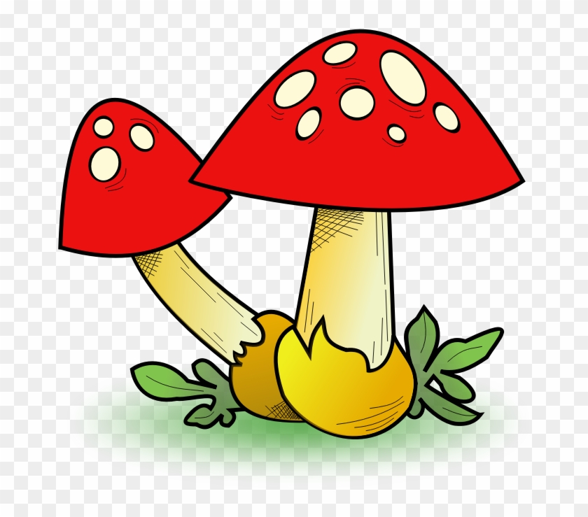 Clipart - Fungal Forest - Mushroom Clipart - Png Download #5731334