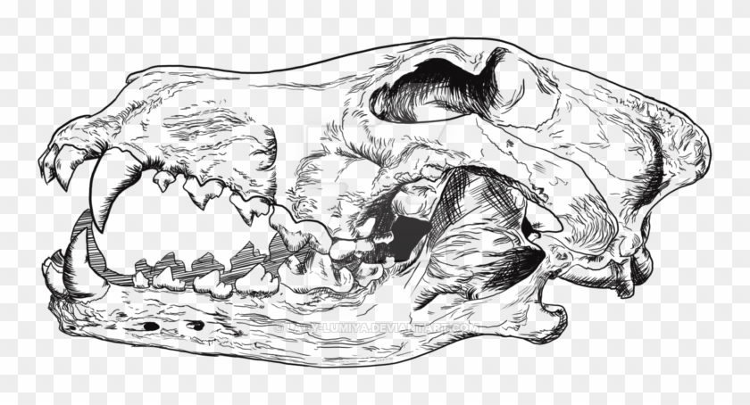 Wolf Skull Png Clipart