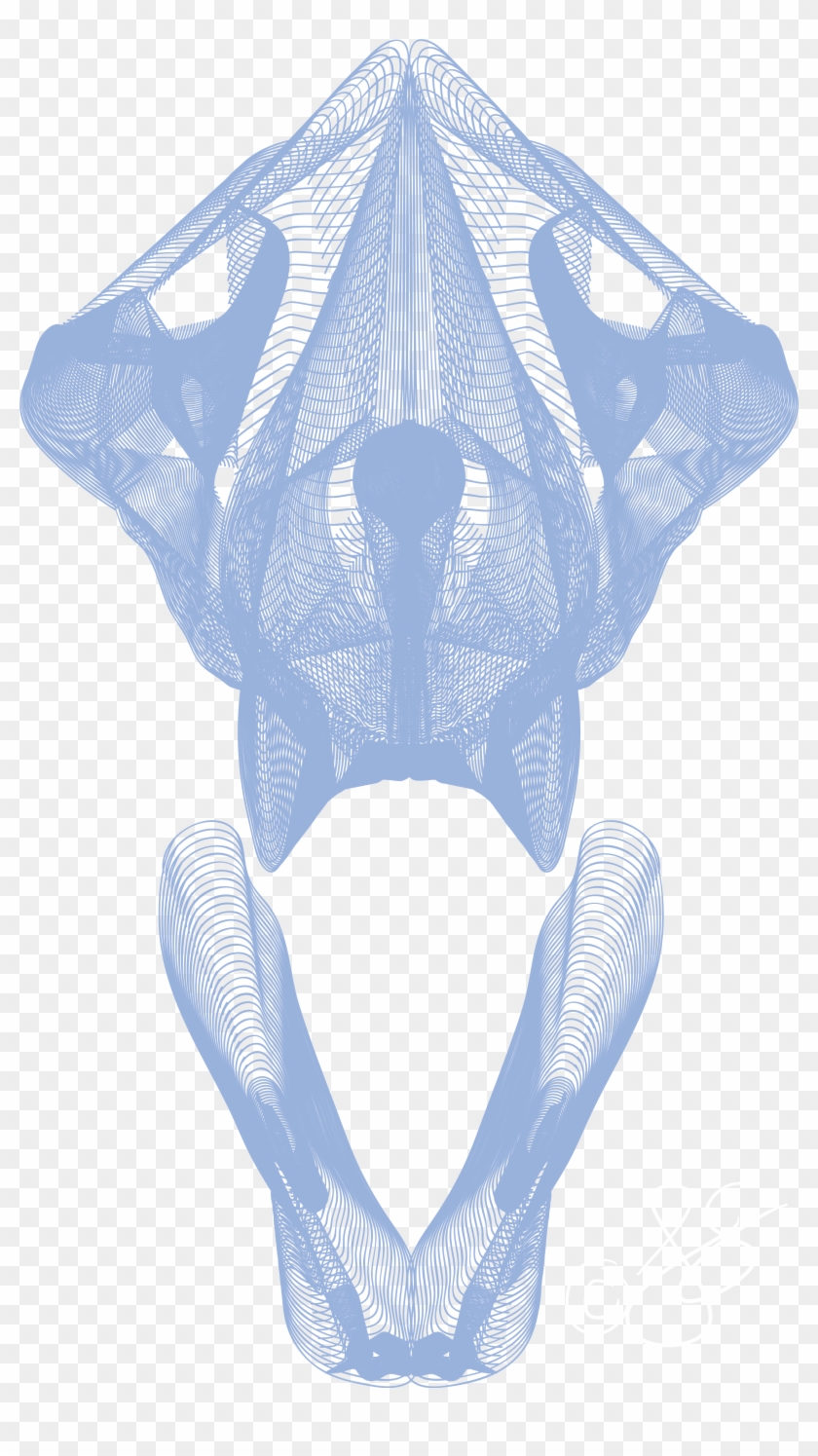 Wolf Skull V-ray - Illustration Clipart #5733141