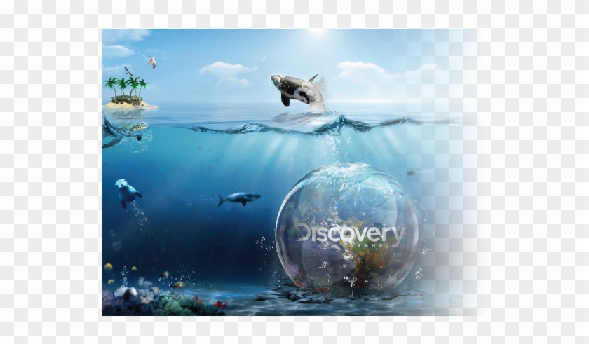 Moana Tv Web Banner Discovery - Discovery Channel Art Clipart #5734375