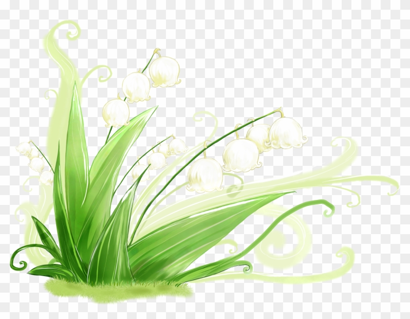 4k Wallpaper Grass » Picserio - 铃 兰 手绘 Clipart #5735939