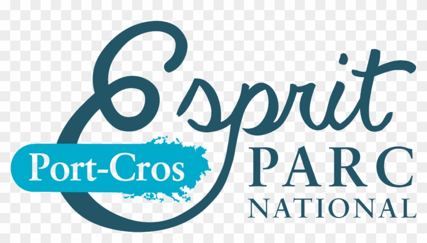 Esprit Parc National Port Cros Transparent - Calligraphy Clipart #5736388