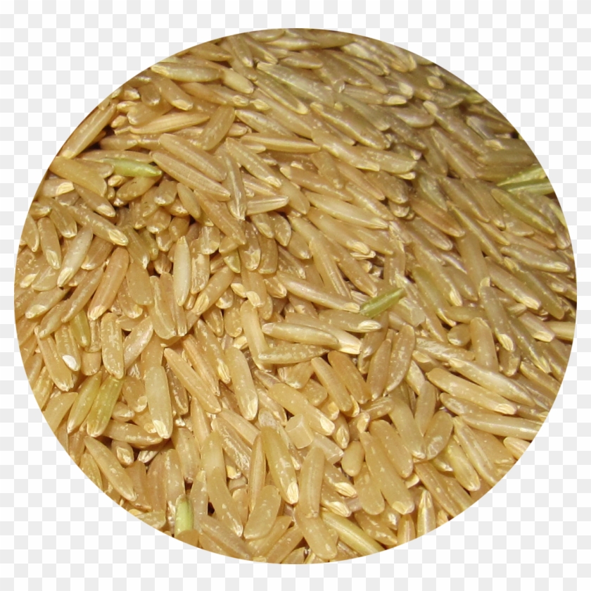 Rice Is A Staple Food In Most, If Not All, Asian Dishes - Rice Clipart #5737021