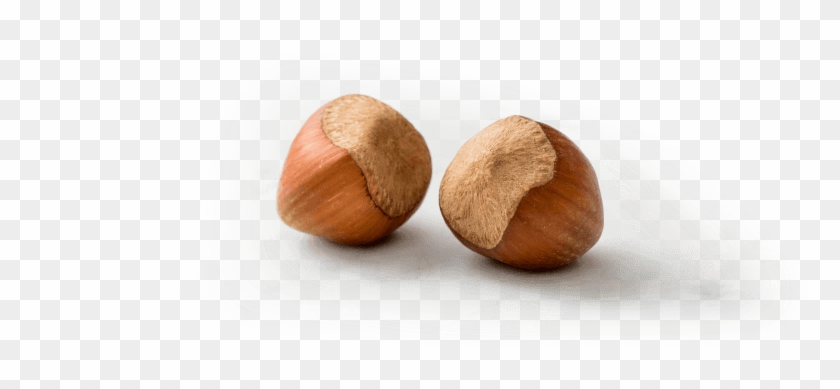 When It Comes To Health, Hazelnuts Stand Out - Mexican Pinyon Clipart #5738321