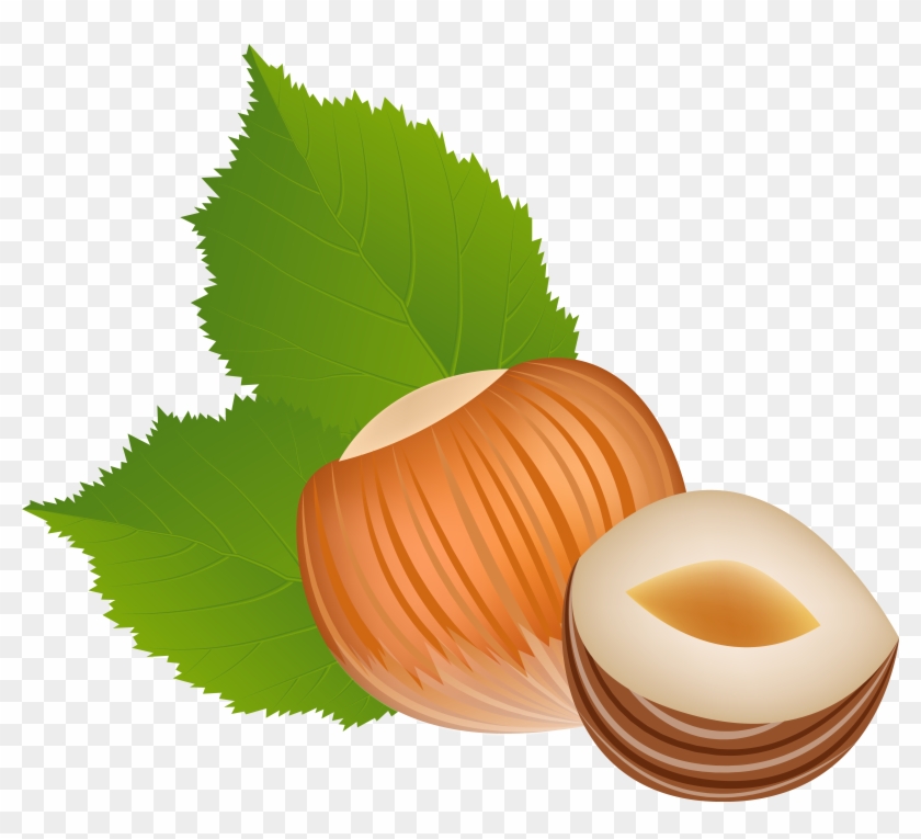 View Full Size - Hazelnut Clipart Png Transparent Png #5738356
