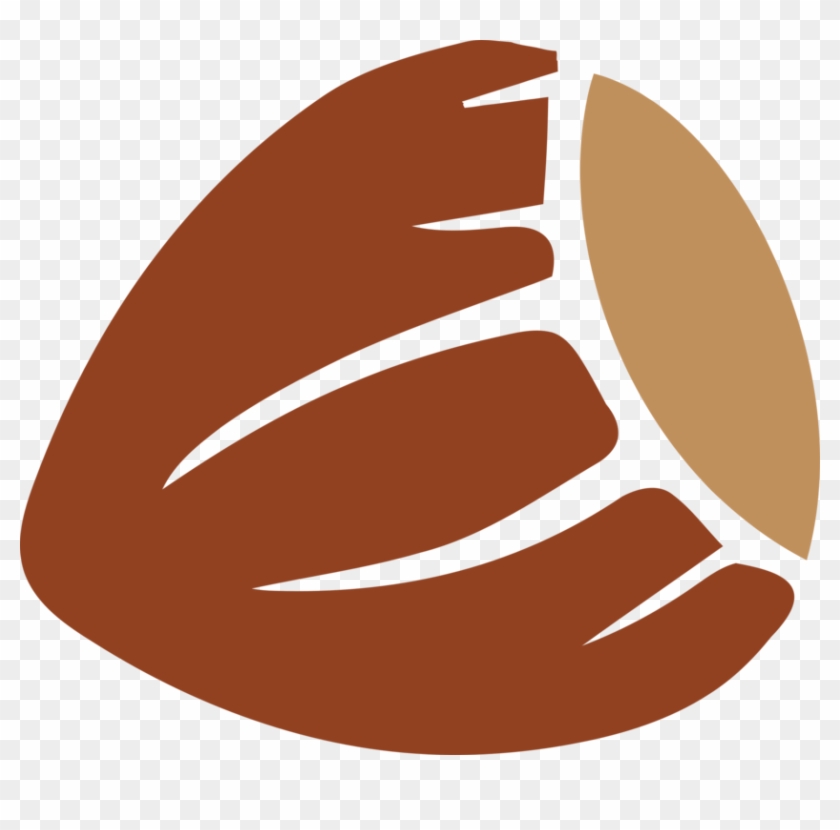 Hazelnut Dried Fruit Microsoft Office Nucule Clipart #5738501