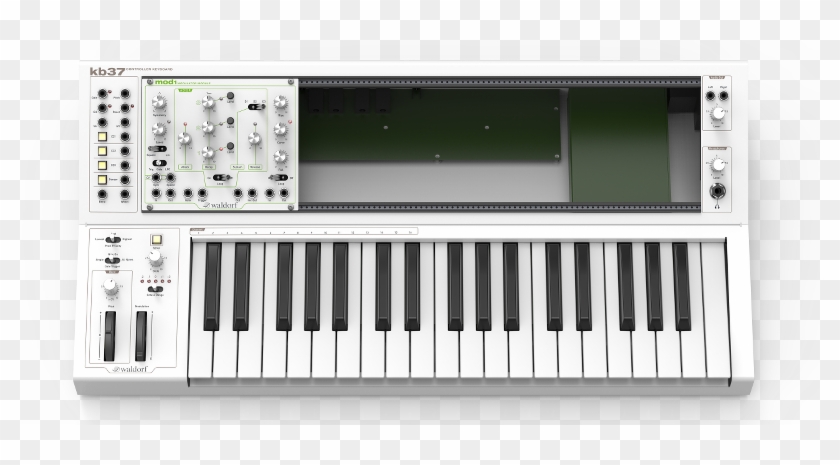 Waldorf Kb37 - Keyboard - Midi Controller - Midi & - Waldorf Eurorack Keyboard Clipart #5739110