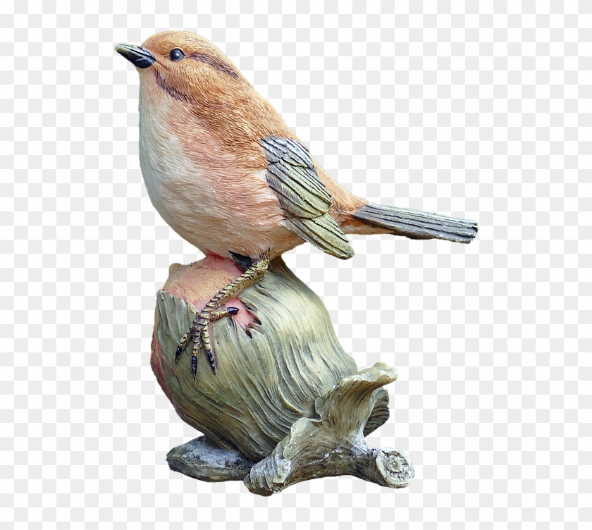 Bird Hazelnut Deco - Hazelnut Bird Clipart #5739514