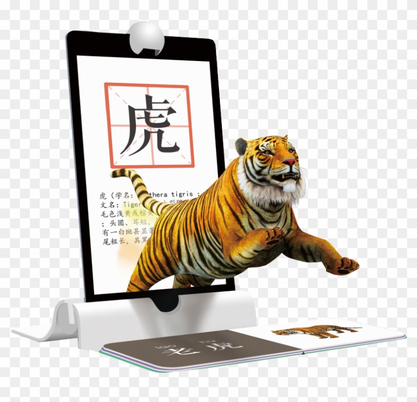 Tiger - Siberian Tiger Clipart