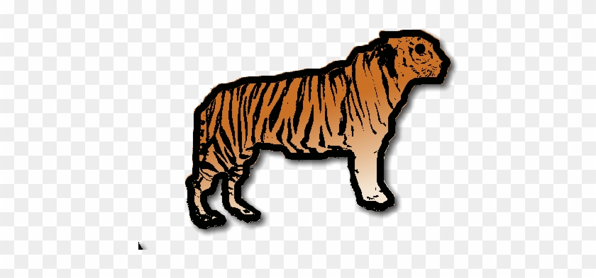 Free Like A Tiger - Siberian Tiger Clipart