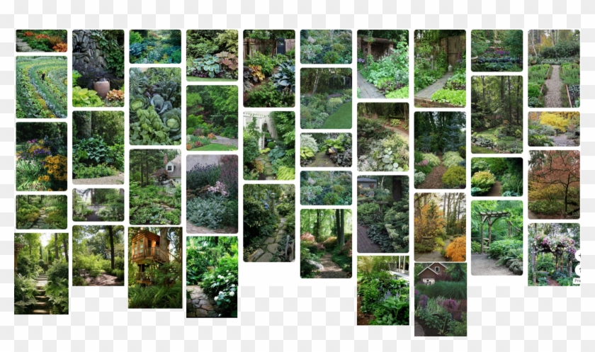 Hydrangea Garden Clipart