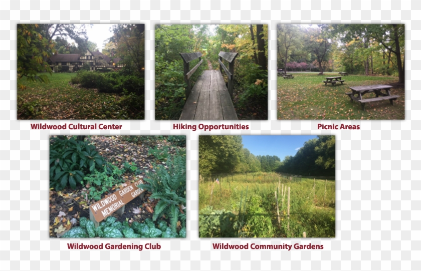 Wildwood - Wildwood Cultural Center Mentor Ohio Clipart