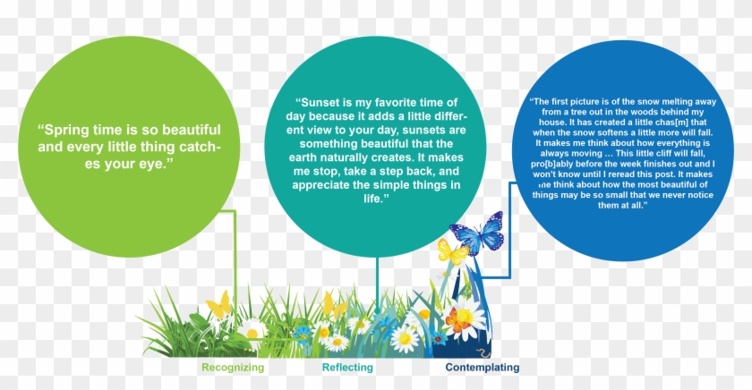 Beautydiagram 10 - 5 - 17 - Floral Design Clipart