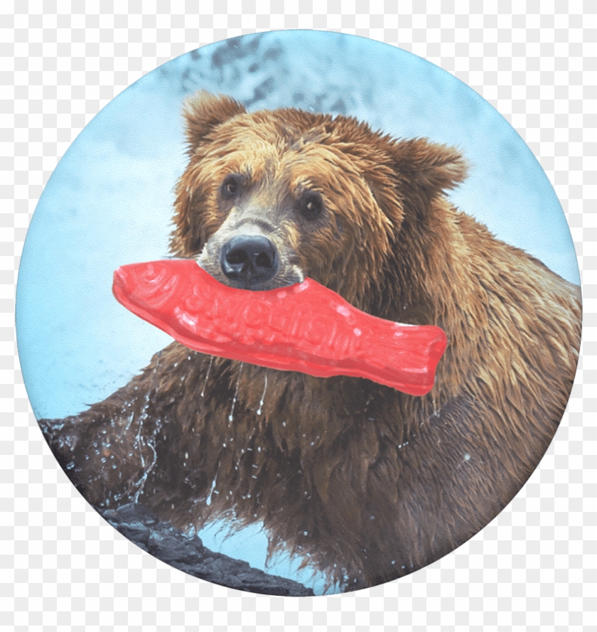 Fishing Trip, Popsockets - Carnivore Animals Clipart