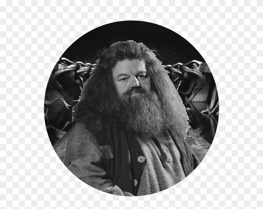 Rubeus Hagrid Face Png Clipart