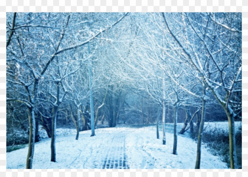 #winter #road #trees #wintertrees #background - تقویم بهمن 98 Clipart