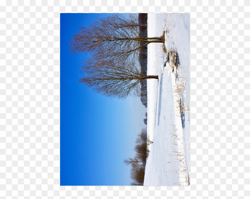 Tree Clipart #5740983