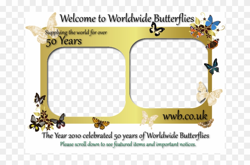Over 50 Years Of Supplying Butterflies, Moths, Livestock, - Dog Licks Clipart #5741253