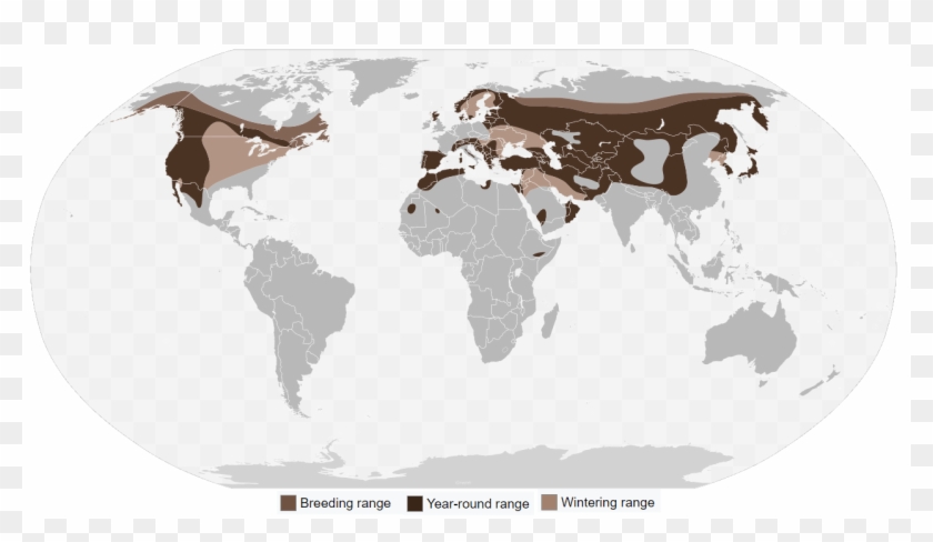Golden Eagle Distrib - Golden Eagles Range Clipart