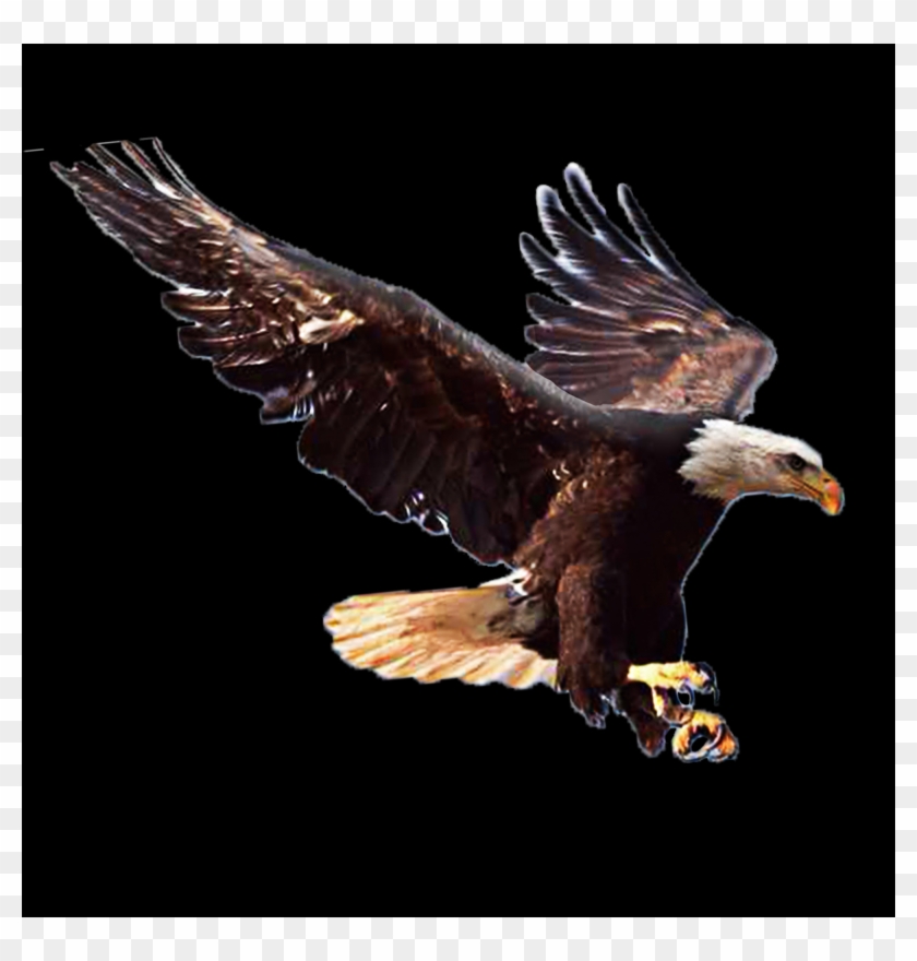 Bible Clipart #5741744