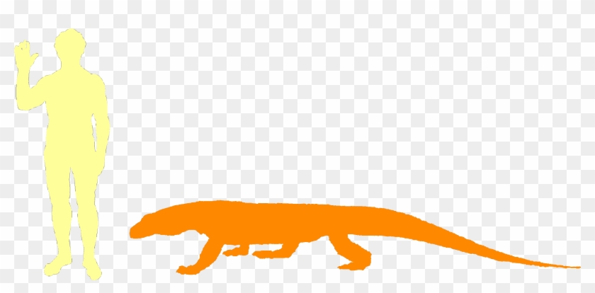 The Komodo Dragon Is The World's Biggest Lizard - Lizard Clipart #5742684