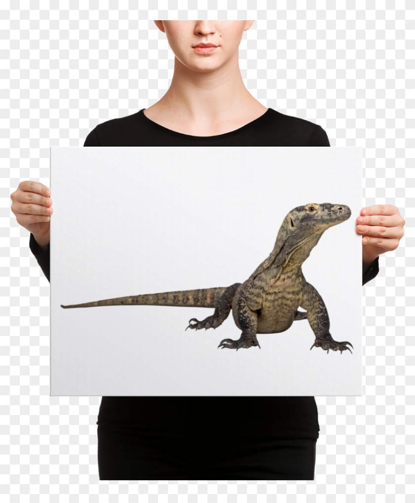 Deep Lounge Cd , Png - Komodo Dragon Clipart