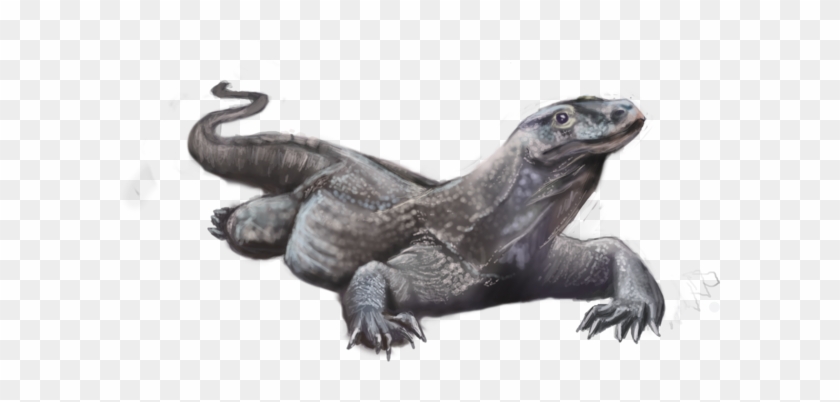 Komodo Dragon Transparent Background Clipart