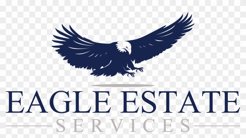 Contact Us - Bald Eagle Clipart #5744519