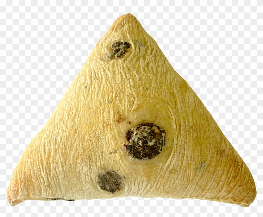 Olive Triangle - Marine Invertebrates Clipart