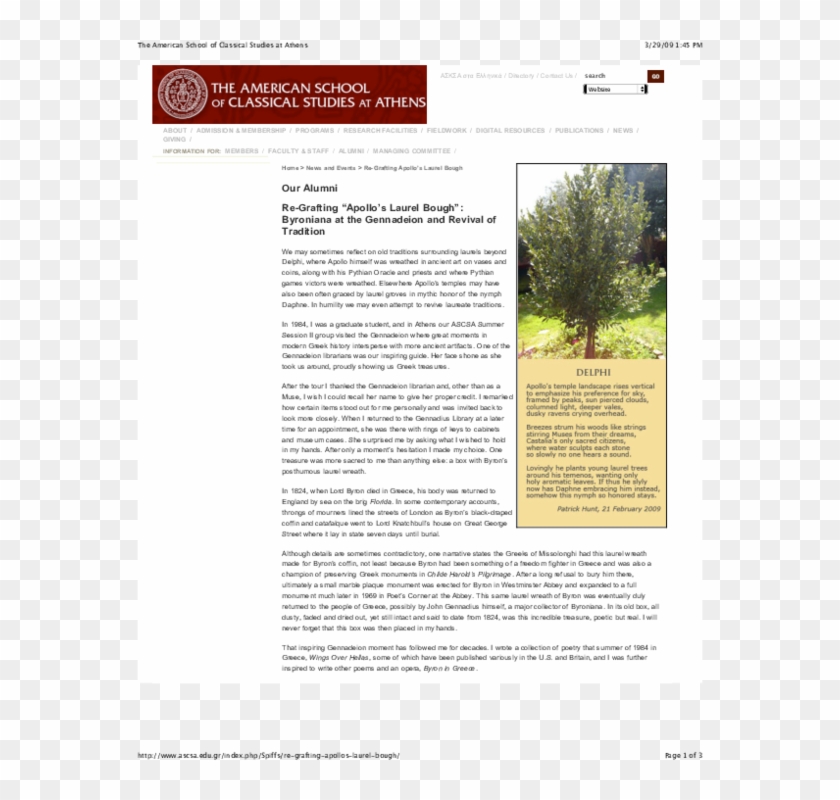 Pdf - " - Tree Clipart