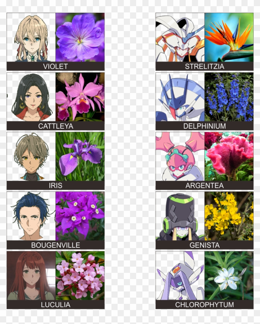 1mib, 1080x1080, Flowers - French Broom Plant Clipart