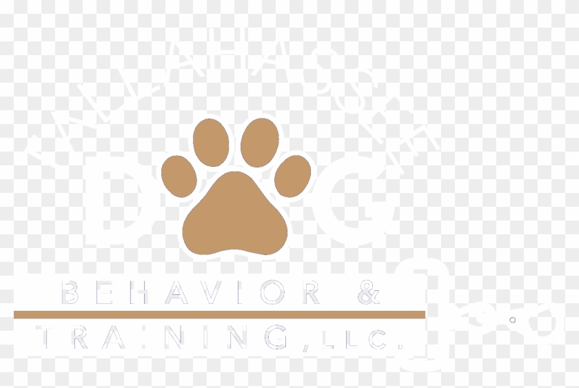 Specialist Dog Trainer Specialist Dog Trainer Specialist - Alianza Yo Te Quiero Clipart